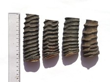 Rohling für Messergriff Horn