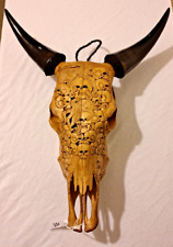 Echter Stierschädel mit