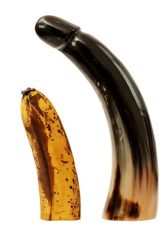 Echt horn phallus skulptur - echt,