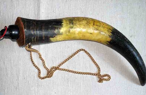 Horn trinkgefäß trinkhorn - horn,