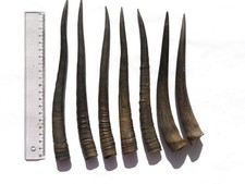 Rohling für Messergriff Horn