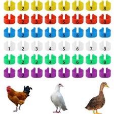 Hühner Beinringe 48 Stück