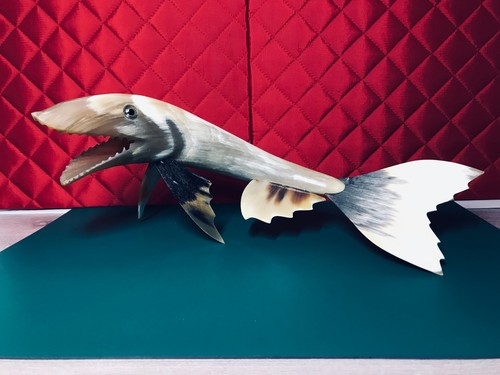Hecht fisch aus - hecht, wasserbüffel
