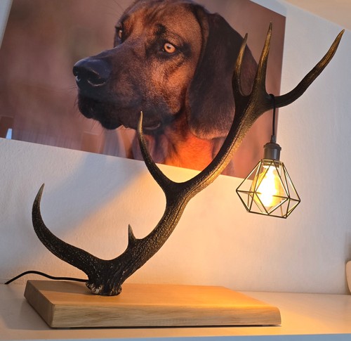 Geweihlampe stehend mit - geweihlampe,