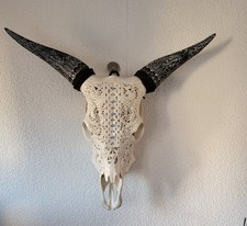 Stierschädel , Gravur-